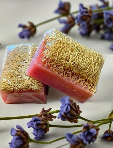 Pompoenvezel Zepen (Loofah)