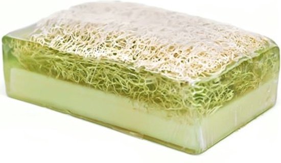 Zeeptabletten 2x Loofah Aloe Vera Zeep - Pompoen vezel - Handmade - 100% Natuurlijk - Voor lichaam - Gezicht - Haar - Handzeep - Badzeep Met spons